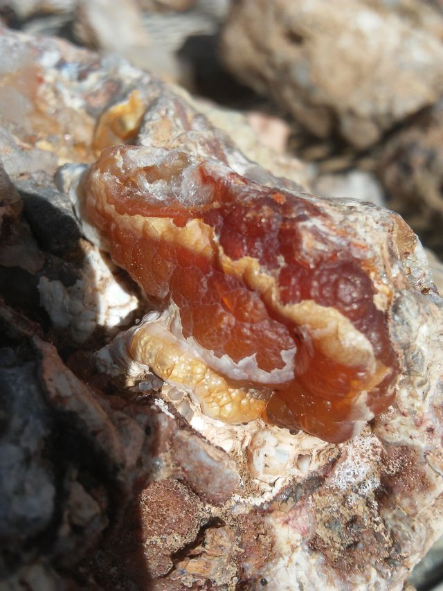20180325_095349.jpg