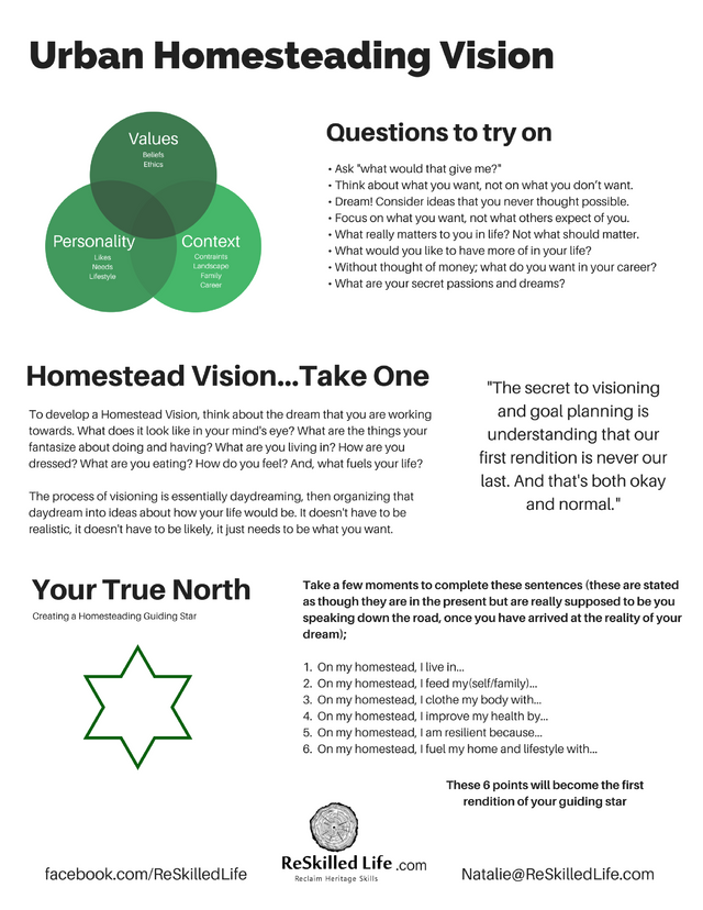 Vision and Goals Handout 1.png