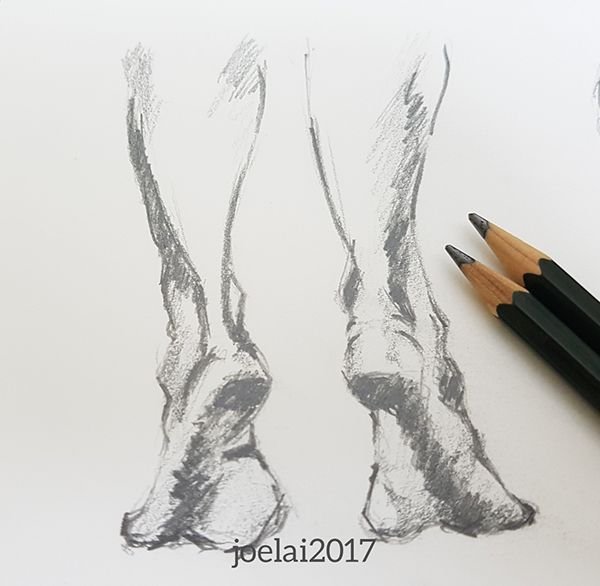 Feet02.jpg