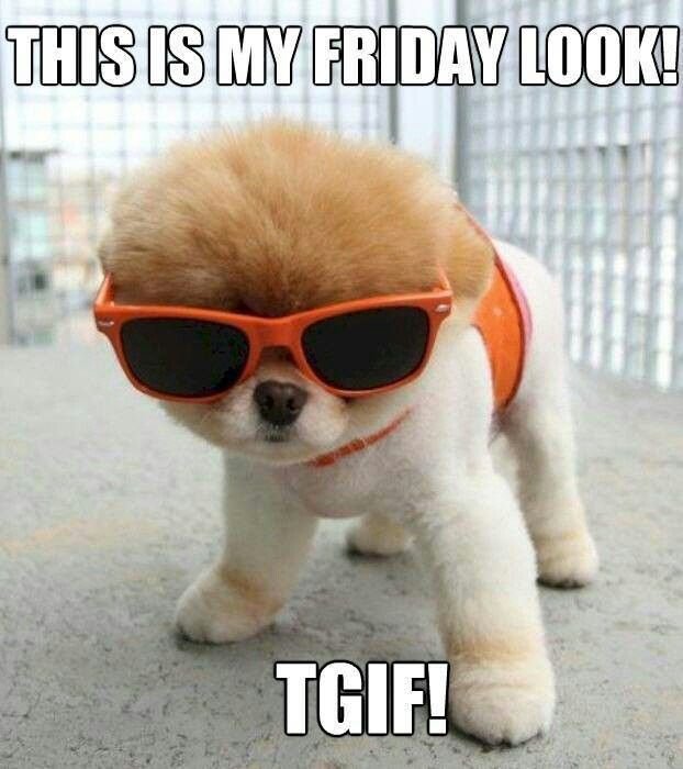 Tgif Steemit