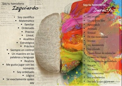 hemisferios del cerebro.jpg