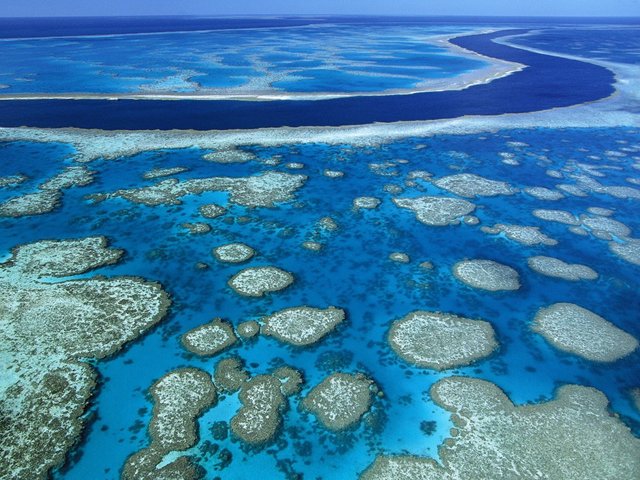 grande-barriere-de-corail-australie1-1024x768.jpg