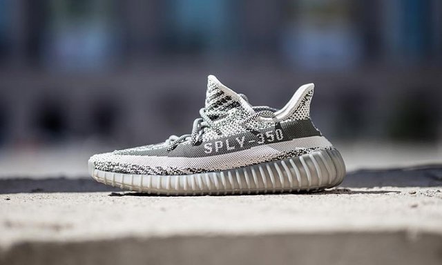 yeezy reverse beluga