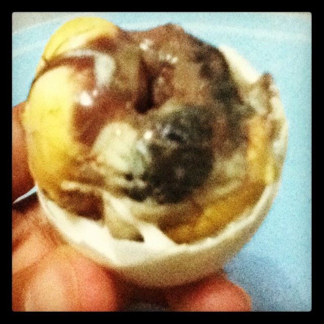 balut.JPG