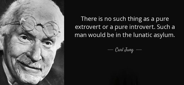 quote-there-is-no-such-thing-as-a-pure-extrovert-or-a-pure-introvert-such-a-man-would-be-in-carl-jung-86-76-10.jpg