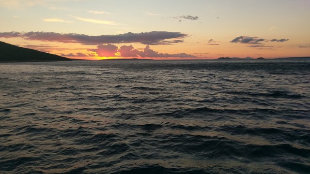 IMAG0525.jpg