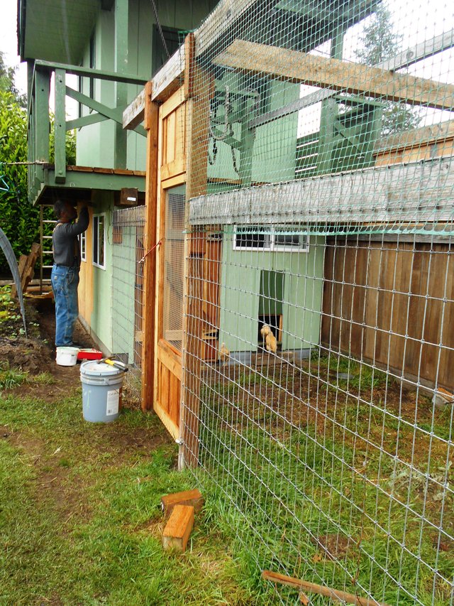 Chicken Coop Paint (1).JPG