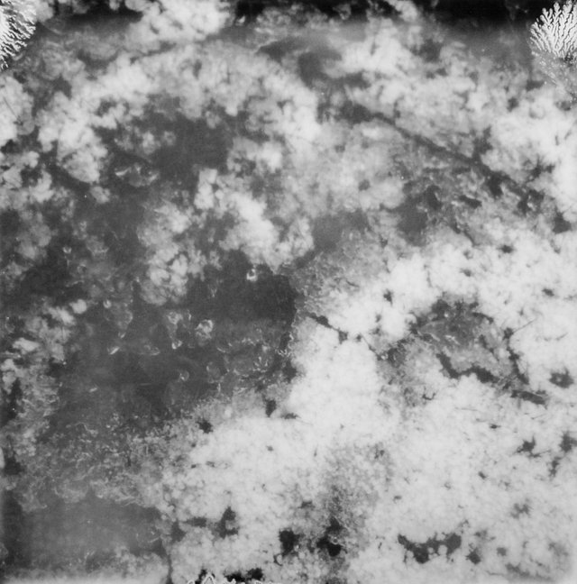 Sofortbild2-18-4 Schnee.JPG