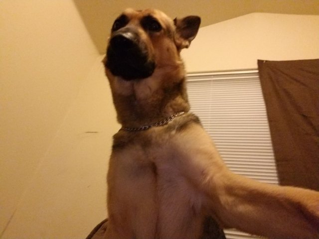 20170901_201734.jpg