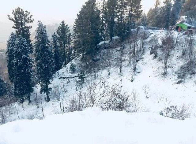 20180318_211203.jpg
