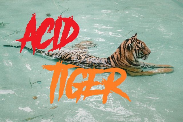 acid tiger.jpg