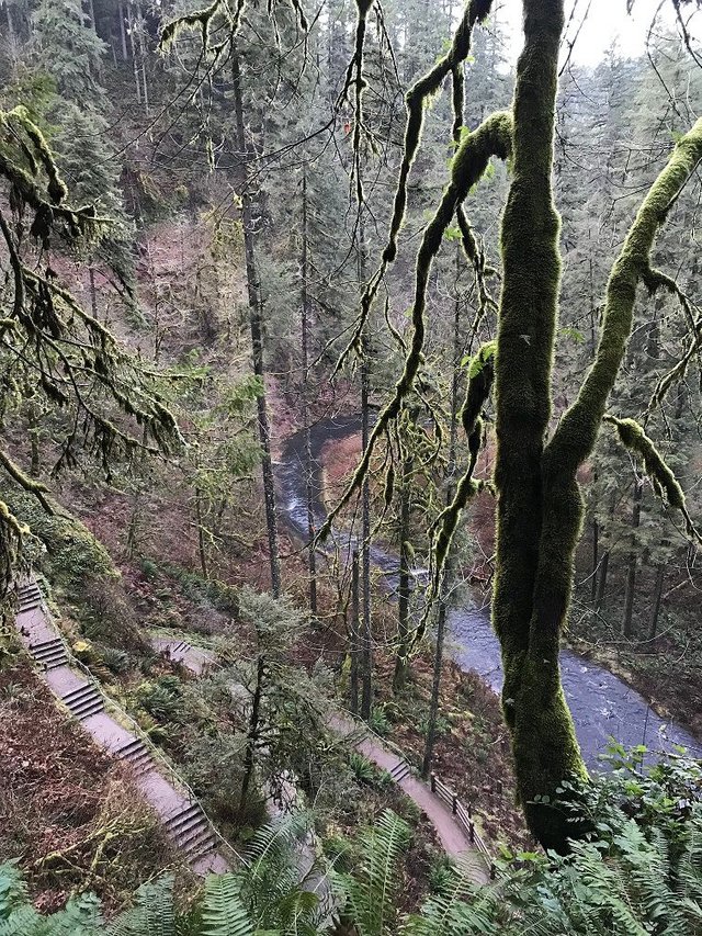 Stairs down to Lower South Falls.jpg