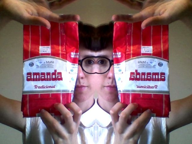 webcam-toy-foto3.jpg