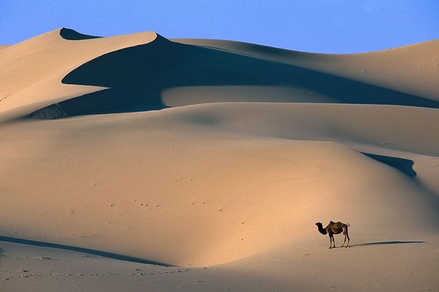 Gobi-Desert-5.jpg