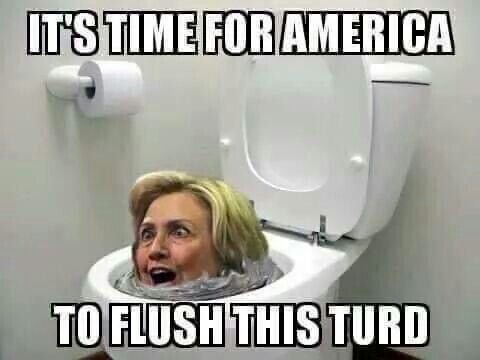 Flush Hillary.jpg