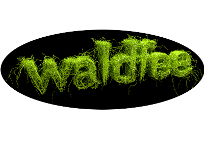 waldfee_logo.png