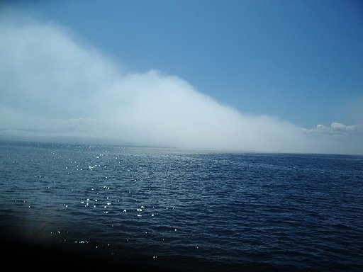 55 Cool Fog Bank.JPG