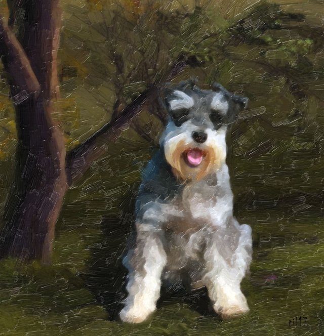 schnauzer.jpg