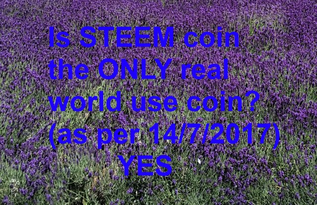 steem7635.jpg