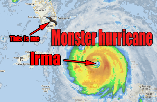 Irma.png