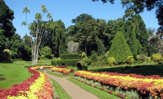 Penang-Botanical-Gardens (1).jpg