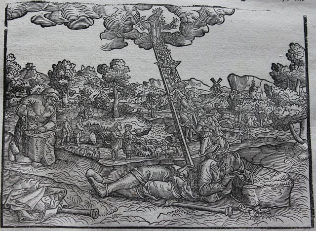 LZB_in_Flensburg_-_Niederdeutsche_Lutherbibel_von_1574-1580,_Bild_11B.jpg