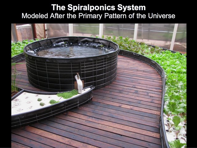 Spiralponics System 2015#1.jpg