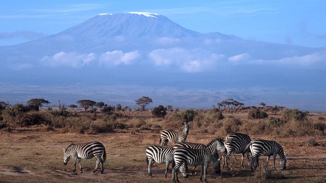 Amboseli NP, Kenya 1920x1080.jpg