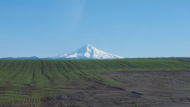 Mt hood.jpg