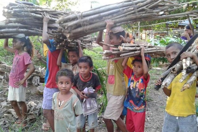 anak anak pencari kayu bakar.jpg