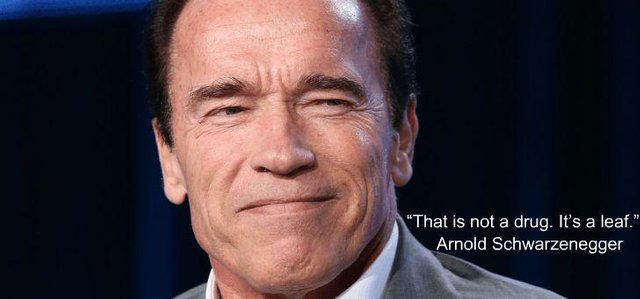 Arnold_Schwarzeneggar_on_MJ.jpg