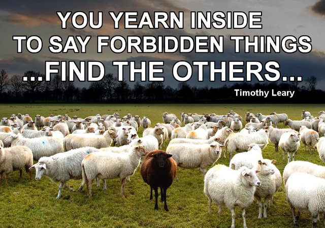 YEARN TO SAY FORBIDDEN THINGS BLACK SHEEP LEARY TIMOTHY FIND THE OTHERS.jpg