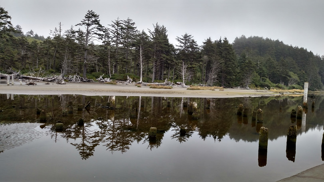 Washington Coast