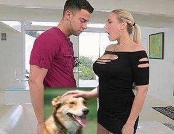 PETDOG.PNG