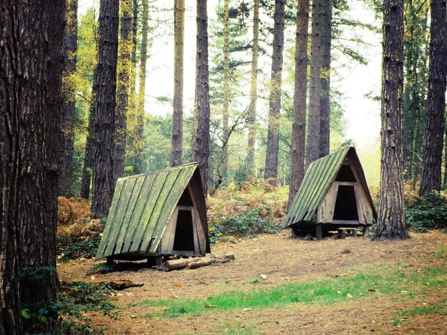 huts.JPG