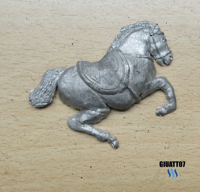 cavallo2.jpg