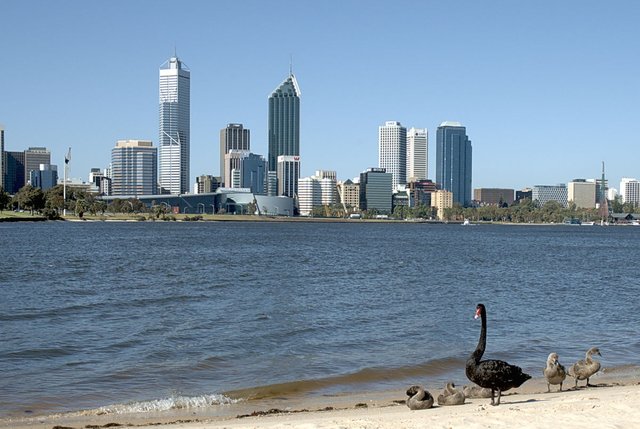 1200px-Swan_River,Perth,Western_Australia.jpg