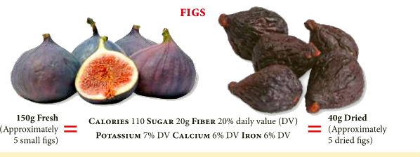 Fig2.png