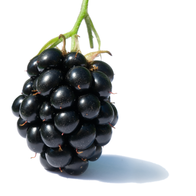 blackberry-.jpg