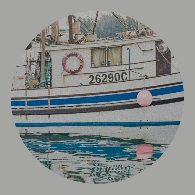 circle_tofino_13.jpg