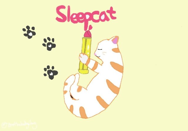 sleepcat.jpg