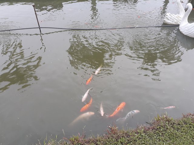 20171025_163421.jpg