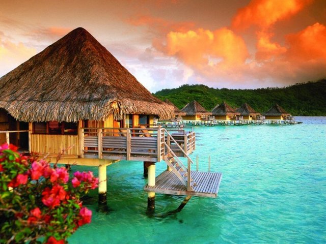 Tahiti-768x576.jpg