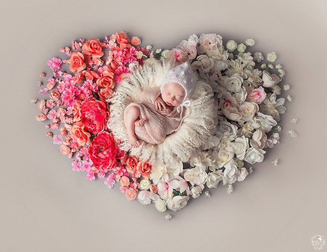 newborn-photos-nature-mandalas-13.jpg