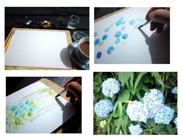 hydrangeaprocess.jpg