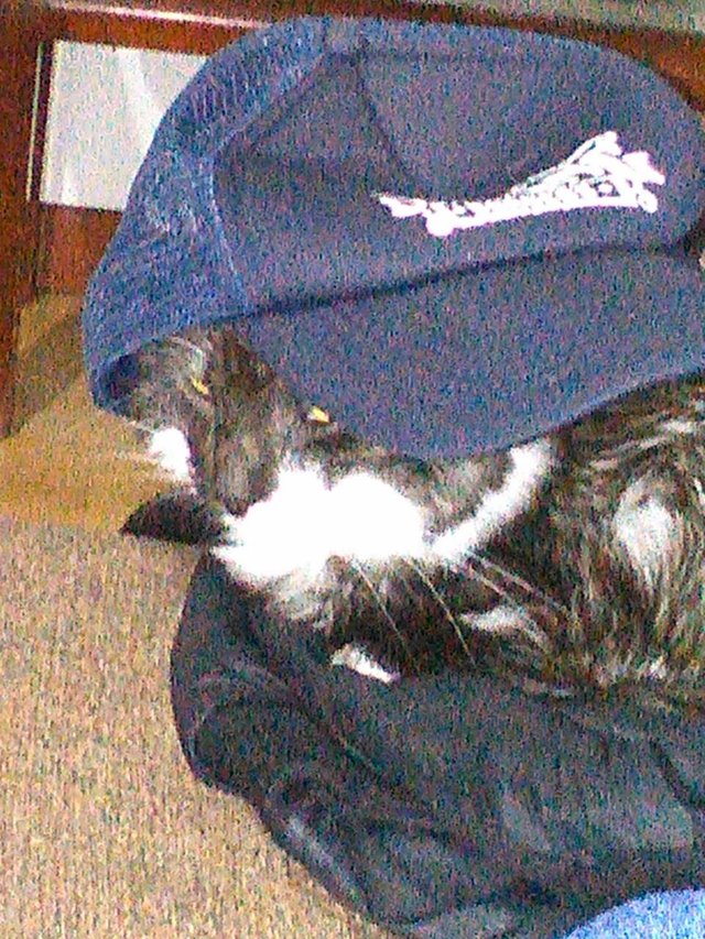 IMG-20180111-WA0015.jpg