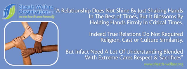 Care.png