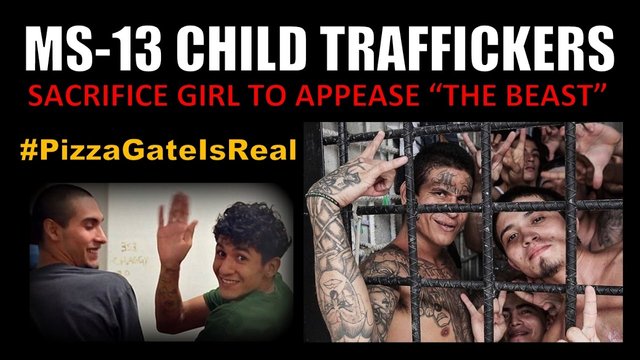 MS-13-Child-Trafficking.jpg