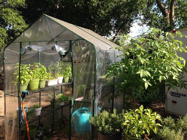 garden gate greenhouse.jpg