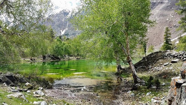 naltar-valley-2.jpg